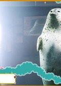 奇迹动物园2007 海报