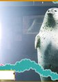 奇迹动物园2007海报