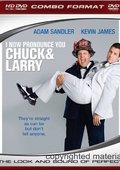 我盛大的同志婚礼 海报
